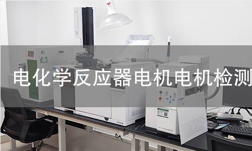 電化學(xué)反應(yīng)器電機(jī)檢測