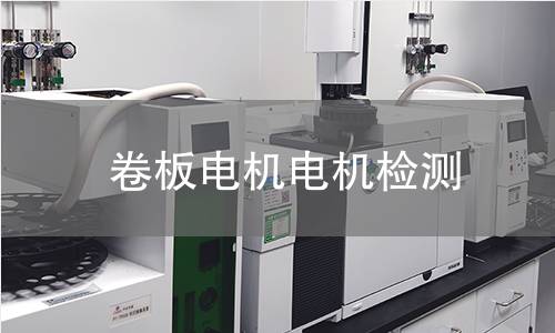 卷板電機(jī)檢測