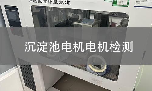 沉淀池電機(jī)檢測(cè)