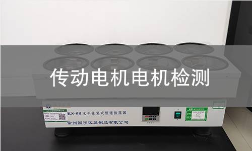 傳動(dòng)電機(jī)檢測(cè)