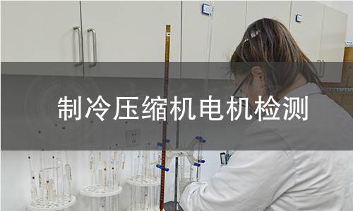制冷壓縮機電機檢測