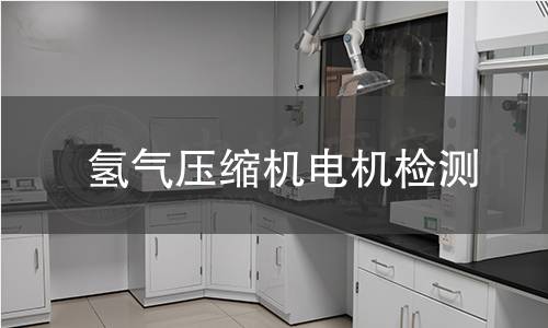 氫氣壓縮機(jī)電機(jī)檢測(cè)