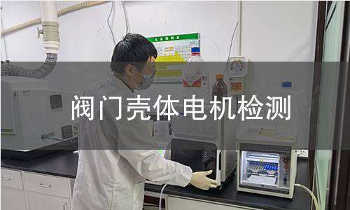 閥門殼體電機(jī)檢測(cè)
