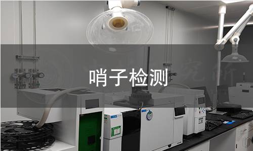 哨子檢測