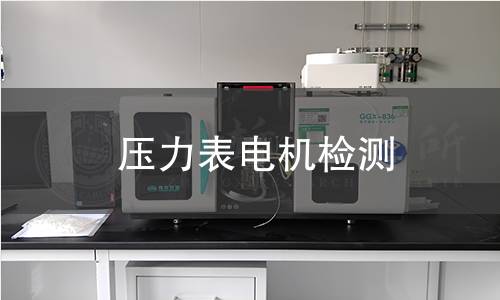 壓力表電機(jī)檢測(cè)