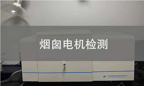 煙囪電機(jī)檢測(cè)