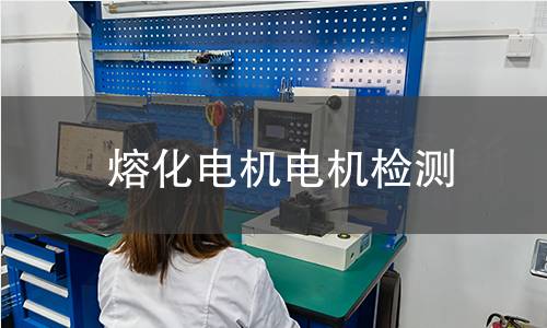 熔化電機(jī)檢測