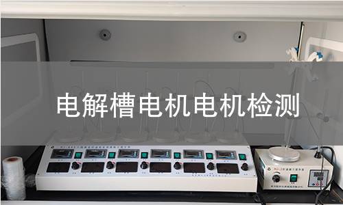 電解槽電機(jī)檢測(cè)