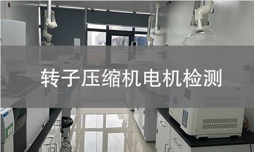 轉(zhuǎn)子壓縮機電機檢測