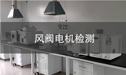 風(fēng)閥電機(jī)檢測(cè)
