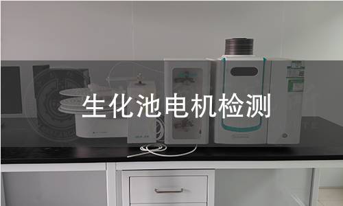 生化池電機(jī)檢測