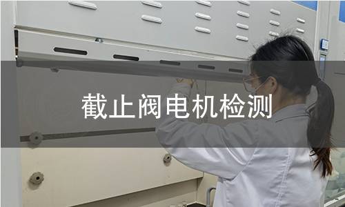 截止閥電機(jī)檢測(cè)