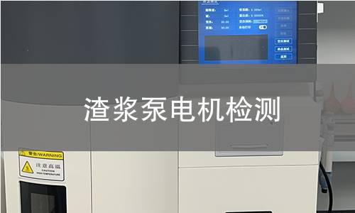 渣漿泵電機(jī)檢測(cè)