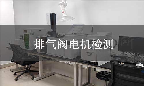 排氣閥電機(jī)檢測(cè)