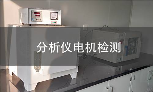分析儀電機(jī)檢測(cè)
