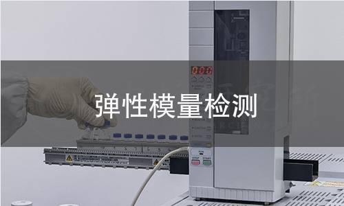 彈性模量檢測