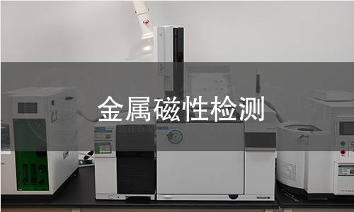 金屬磁性檢測