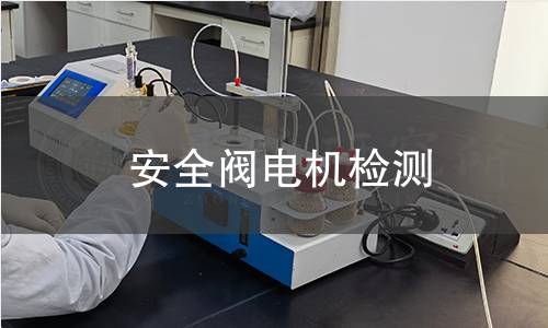 安全閥電機(jī)檢測(cè)
