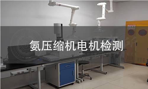 氨壓縮機(jī)電機(jī)檢測(cè)