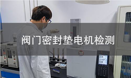 閥門密封墊電機(jī)檢測(cè)