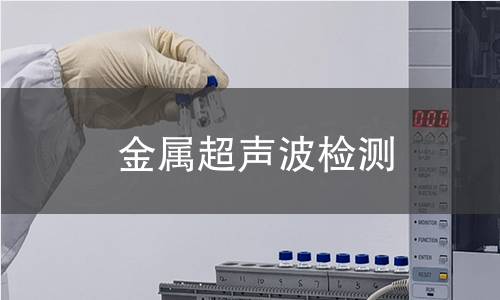 金屬超聲波檢測