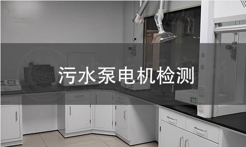 污水泵電機(jī)檢測(cè)