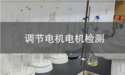 調(diào)節(jié)電機檢測