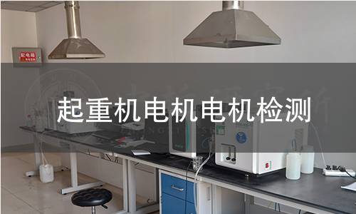 起重機(jī)電機(jī)檢測
