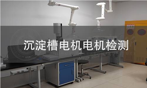 沉淀槽電機(jī)檢測