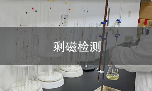 剩磁檢測