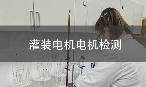 灌裝電機(jī)檢測(cè)