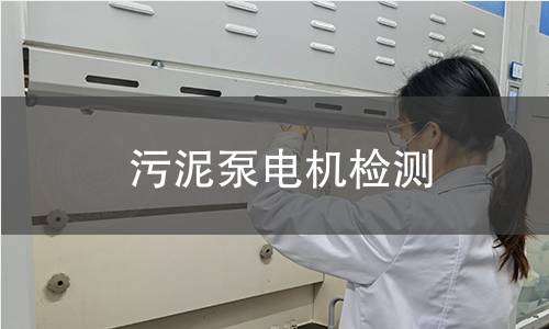 污泥泵電機(jī)檢測(cè)