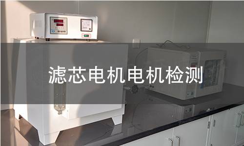 濾芯電機(jī)檢測