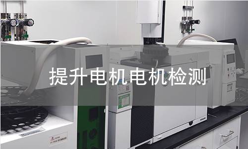 提升電機(jī)檢測(cè)