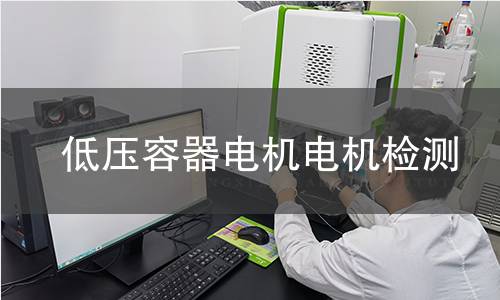 低壓容器電機(jī)檢測