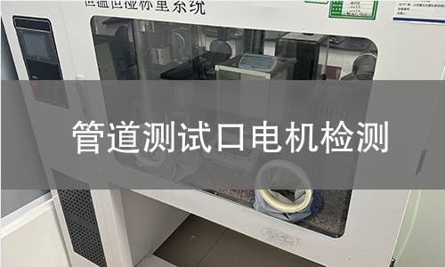 管道測試口電機(jī)檢測