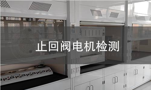 止回閥電機(jī)檢測(cè)