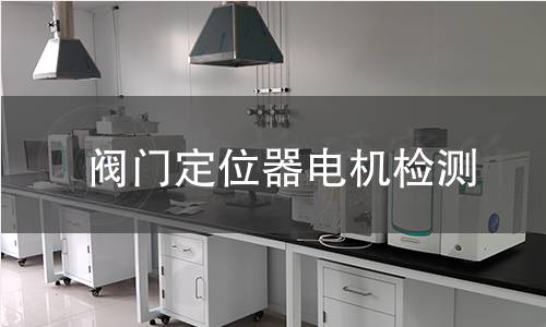 閥門定位器電機(jī)檢測(cè)