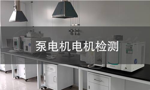 泵電機(jī)檢測