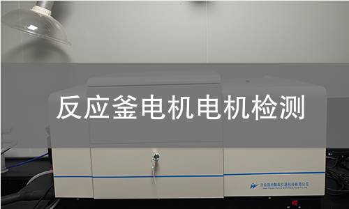 反應(yīng)釜電機(jī)檢測