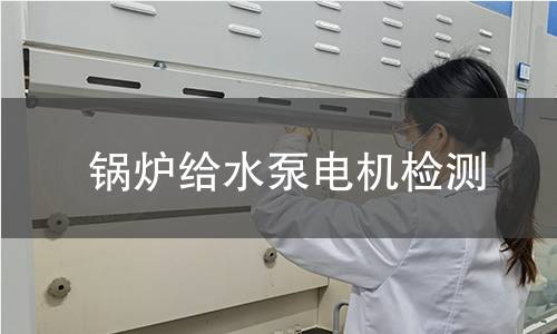 鍋爐給水泵電機(jī)檢測(cè)