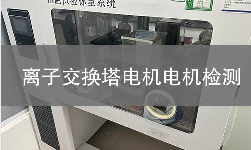 離子交換塔電機檢測