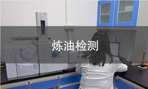 煉油檢測