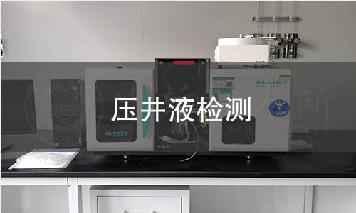 壓井液檢測